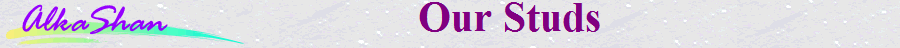                                       Our Studs                                      