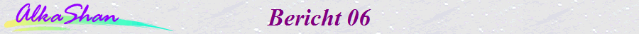 Bericht 06