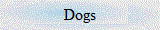 Dogs