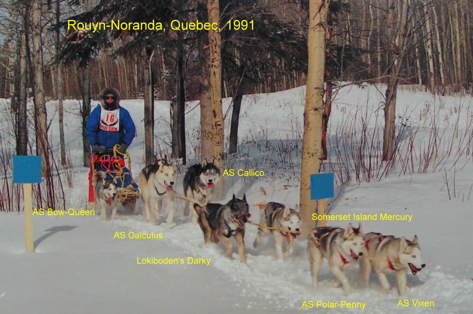 Rouyn-Noranda-1991-M