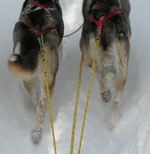 Behinds-PICT040131-1102