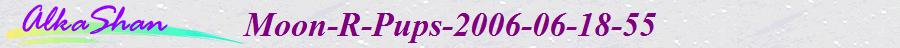 Moon-R-Pups-2006-06-18-55