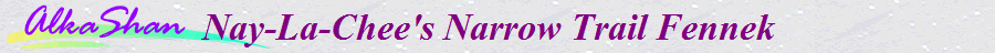 Nay-La-Chee's Narrow Trail Fennek  