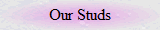 Our Studs