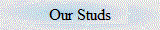 Our Studs