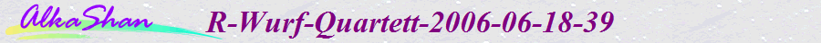 R-Wurf-Quartett-2006-06-18-39