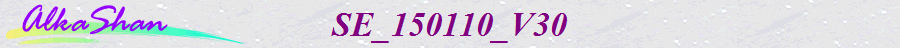 SE_150110_V30