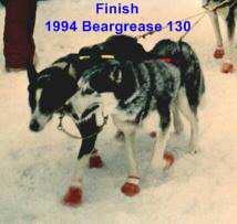 Agor-Hexe-1994-Beargrease02