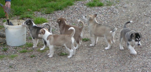 U-Litter-2007-07-26-34