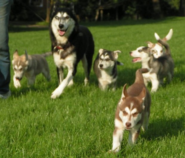 U-Litter-2007-08-16-37