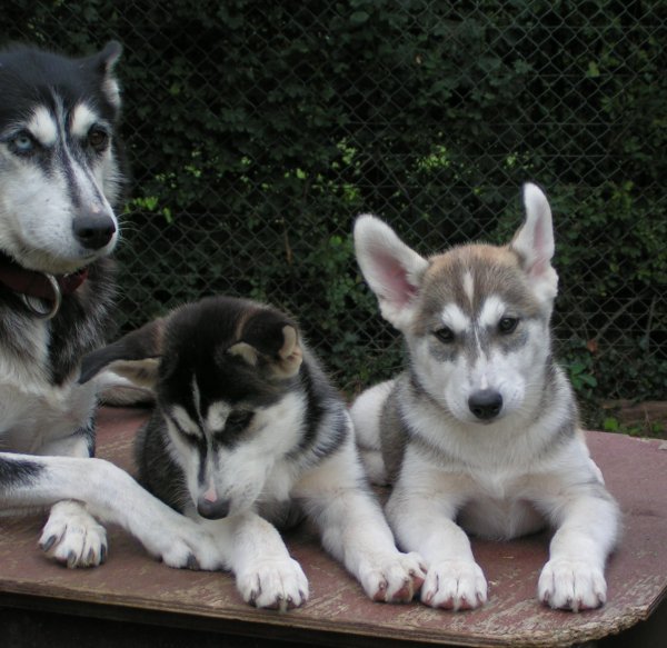 U-Litter-2007-08-19-27