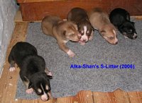 tn_S-Wurf-2006-10-11