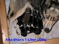 tn_T-Wurf-2006-10-11