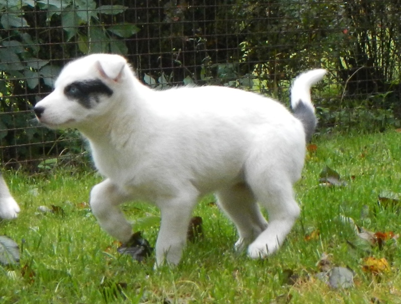 Kiva_2013-10-06_0884