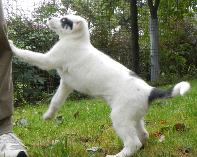 Kiva_2013-10-06_0885