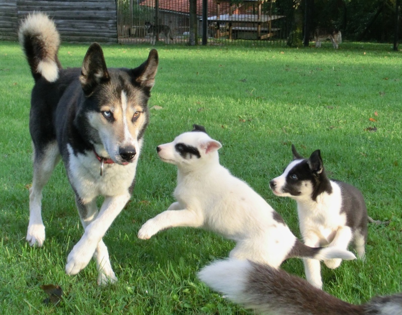 Ks_Ausflug_7-weeks_2241