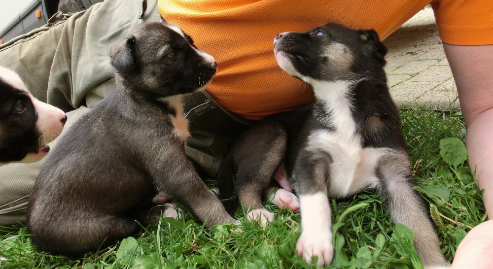 Ms-m-M_20140803_2683