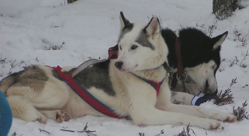 Dallas-2005-01-30-0402