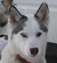 Dallas-Kopf-PICT040127-1902