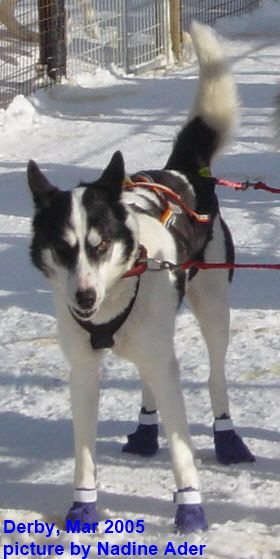 Derby-2005-03-03-DSC0086502