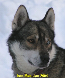 Iron-Kopf-PICT040127-1002