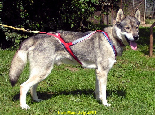 IronMan-20040717-0102