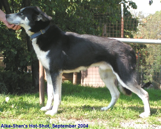 HotShot-2004-09-05-2102