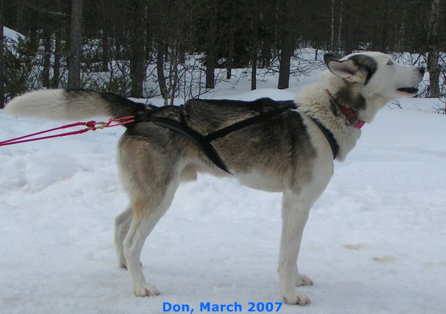 Don-2007-03-15-18