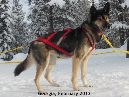 Georgia_20120205_2837