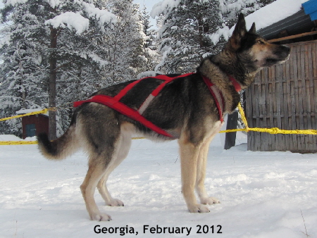 Georgia_20120205_2844