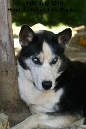 Limit_20100720_3489_kopf