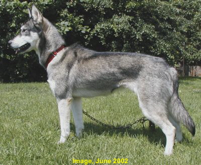 Image-2002-06-23-014402