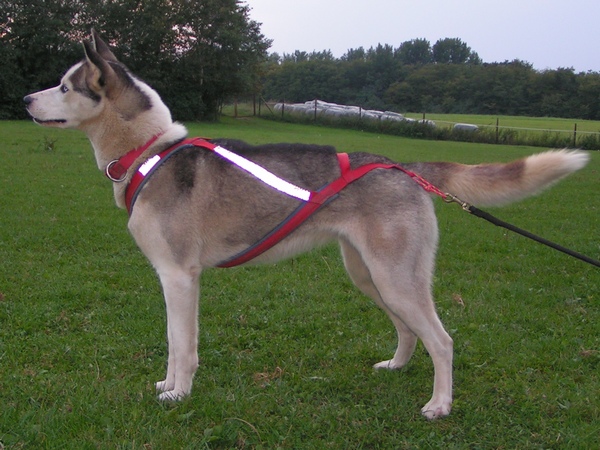 Moone-2-2005-09-0902