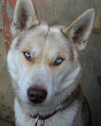 Pumkin-2005-12-03-01