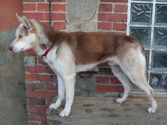 Pumkin-2005-12-03-02