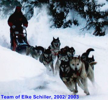 Update-2002-team-20proz02