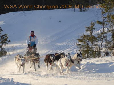 Asarna-2008-03-07-DSC5264-a
