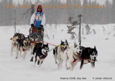 Asarna-2008-03-08-DSC6241-a