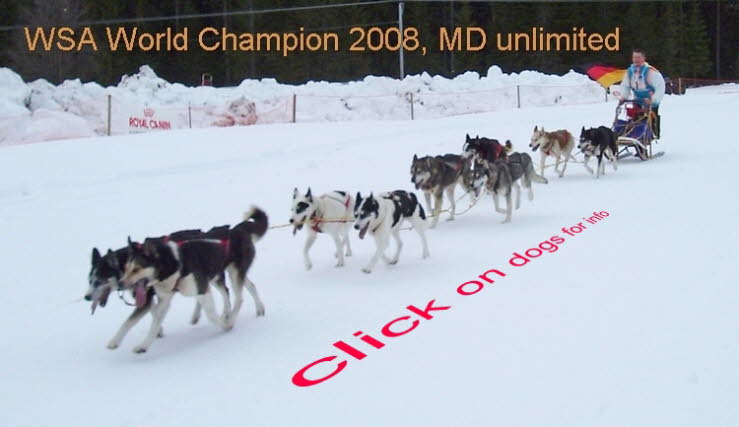 Asarna-2008-03-09-Zieleinlauf-JB