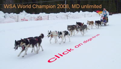 Asarna-2008-03-09-Zieleinlauf-JB