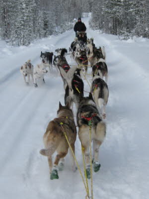 Begegnung_20100217_0238