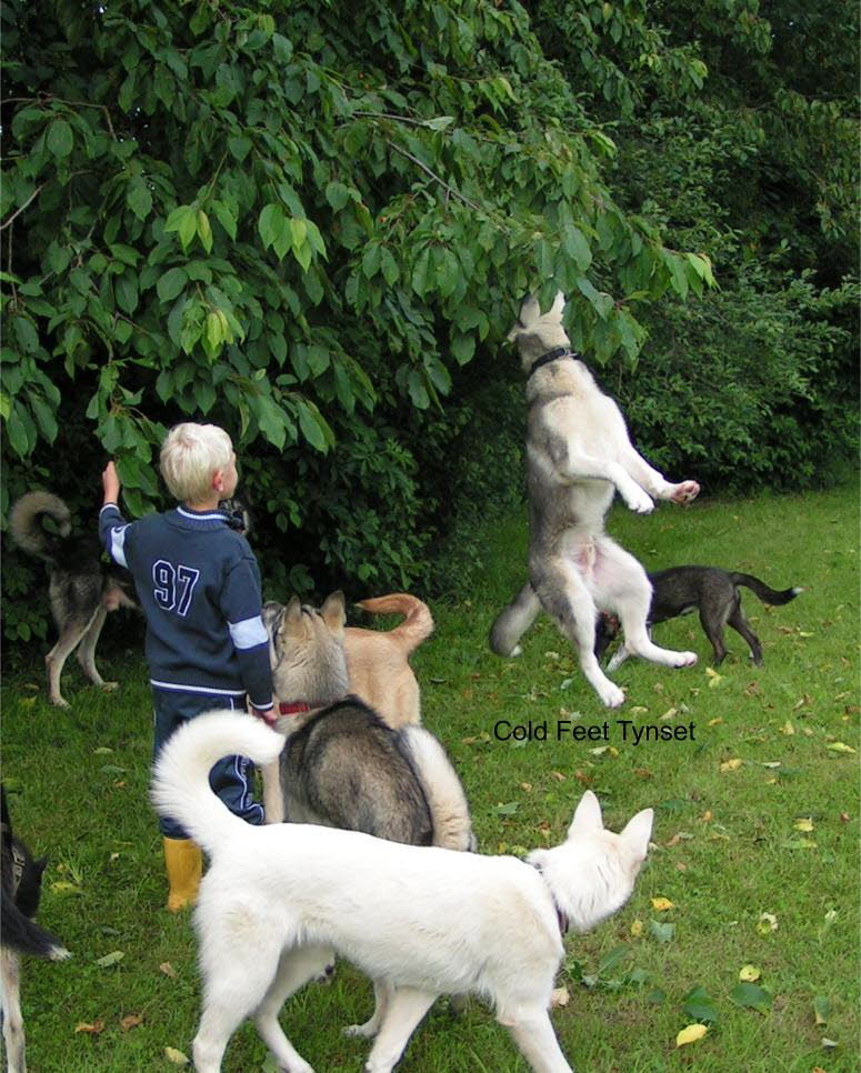 Summer training 2007