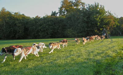 Early Fall Training 2008