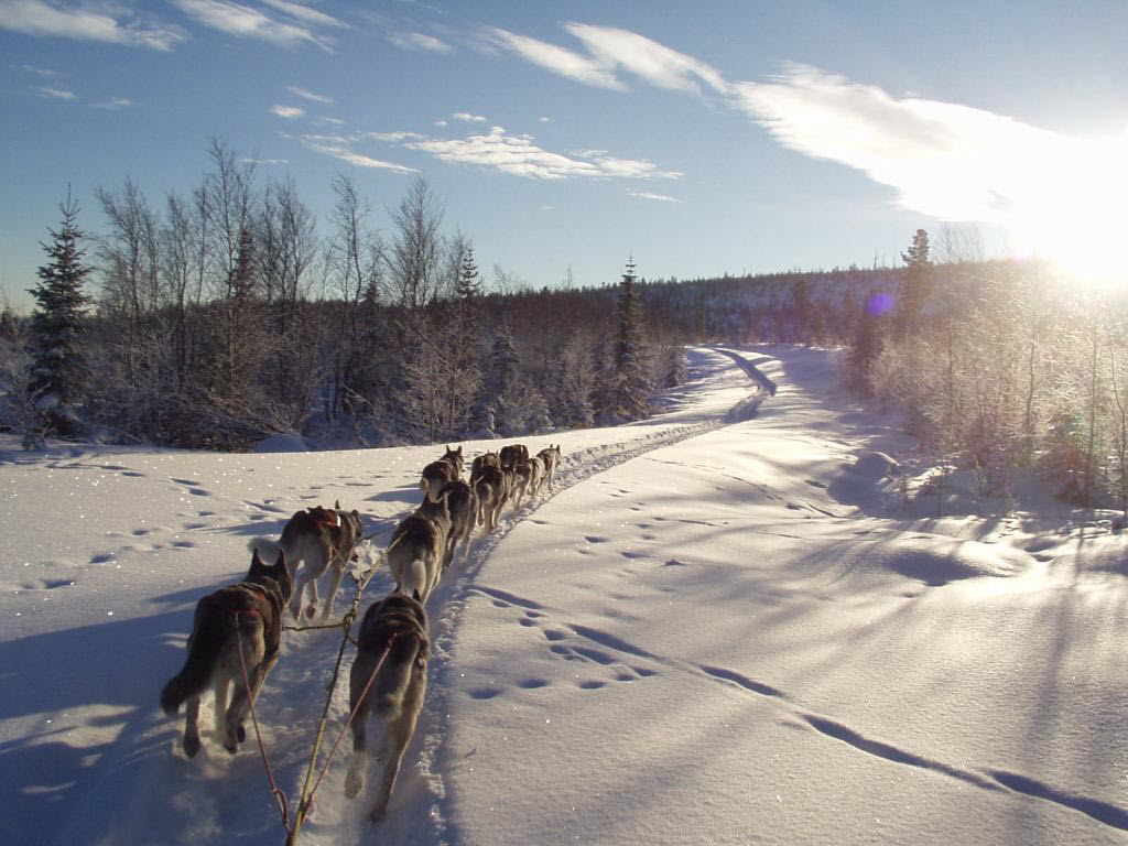 Training in sparkling snow