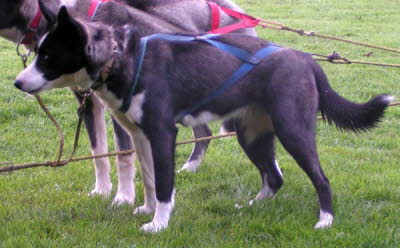 Ribut-2007-10-13-06a