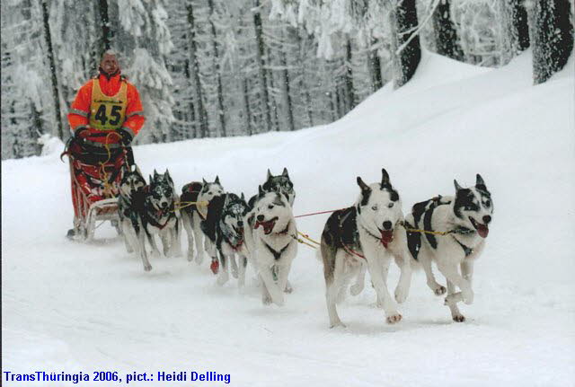 Trans-Th�ringia 2006, pict. by Heidi Delling