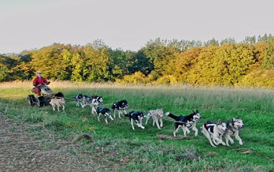 Training_20111002_2679